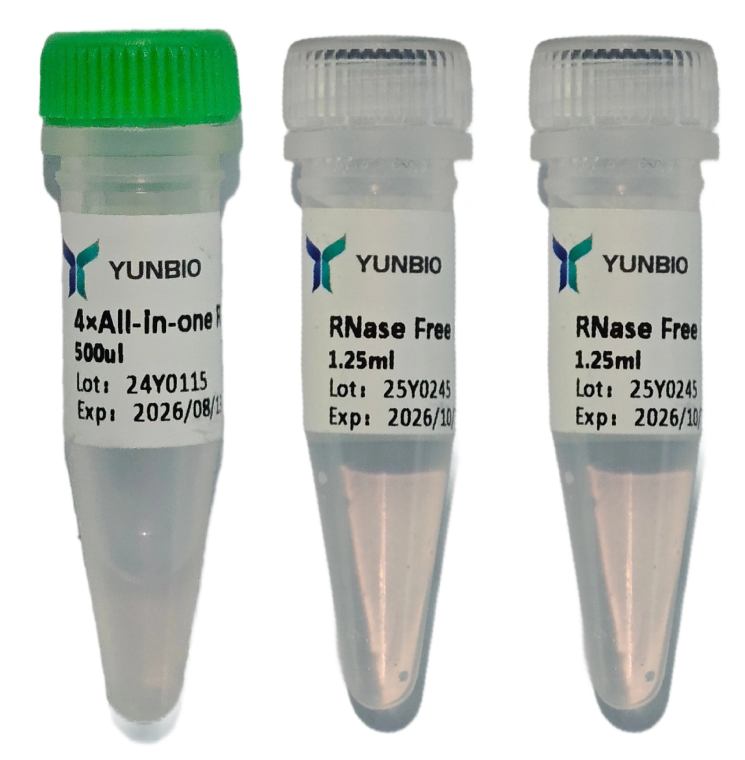 HP All-in-one qRT Master MixⅡ