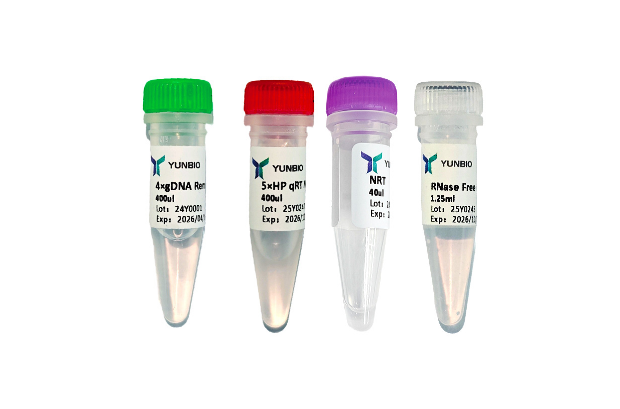 High Performance qRT Master Mix(+gDNA Remove)