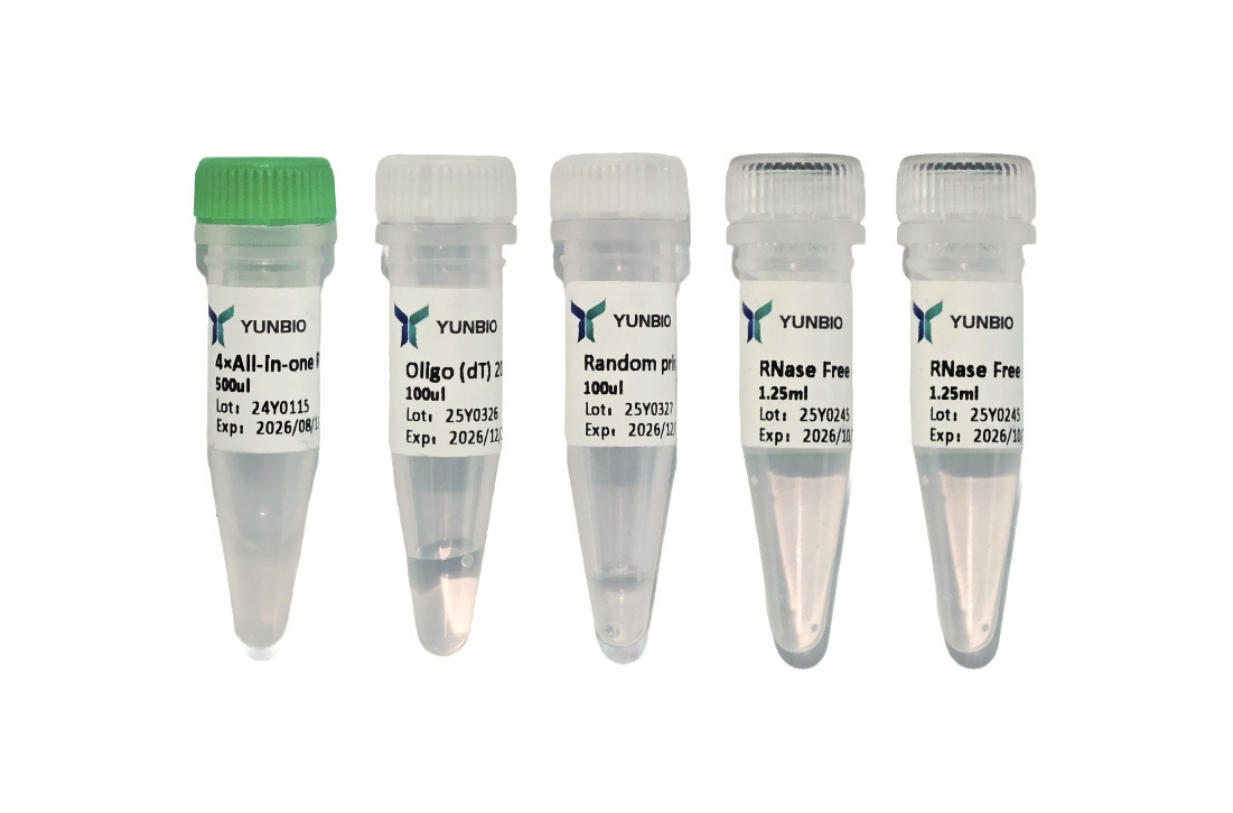 HP All-in-one 1st Strand cDNA Synthesis Kit