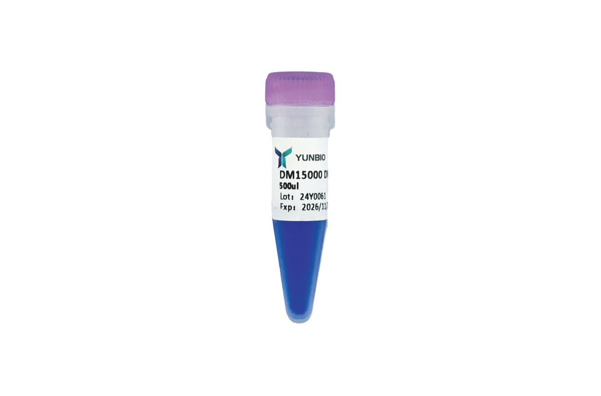 DM15000 Plus DNA Marker(100-15000 bp)