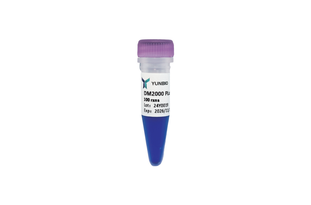 DM2000 Plus DNA Marker(100-2000 bp)
