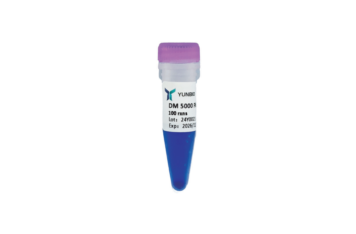 DM5000 Plus DNA Marker(100-5000 bp)