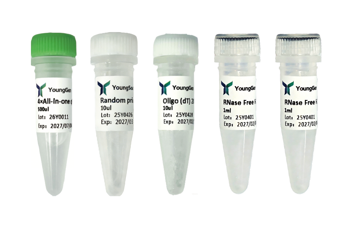 HP All-in-one 1st Strand  cDNA Synthesis Kit