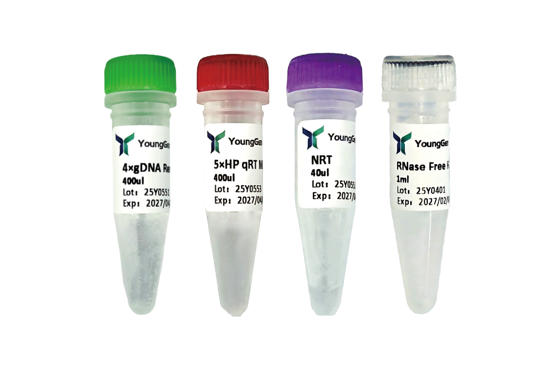 High Performance qRT  Master Mix(+gDNA Remove)