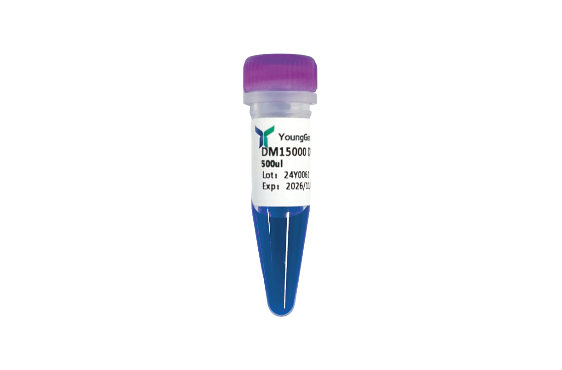 DM15000 Plus DNA Marker（100-15000 bp)
