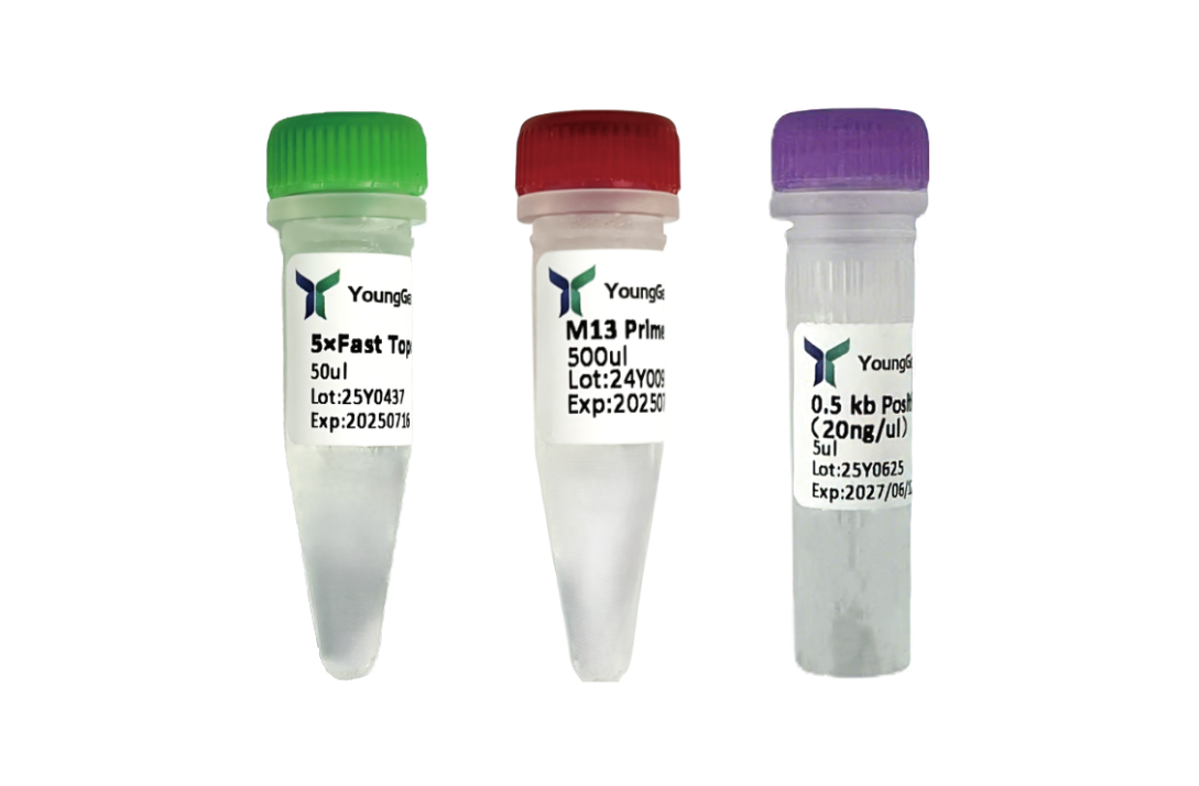 5min Fast TOPO Cloning Kit