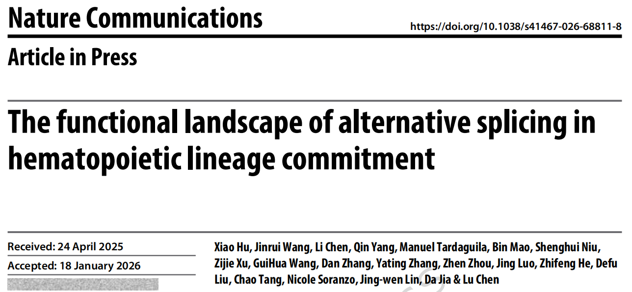 单个外显子如何决定红细胞命运？AI模型解码其调控路径并锁定疾病靶点
