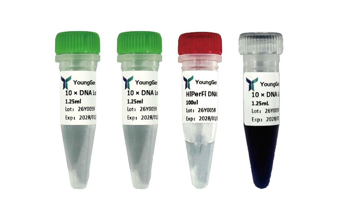 HiPerFi DNA Polymerase
